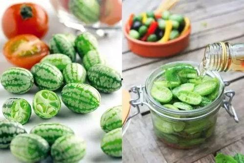 吃瓜的味道初夏,探寻吃瓜的清新滋味