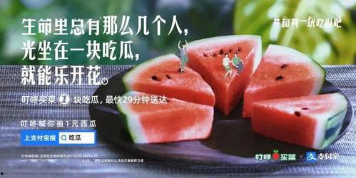 微公益吃瓜文案,揭秘公益背后的甜蜜与苦涩