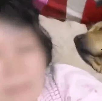 梦到女人给舔瓜吃,女人送瓜之神秘启示