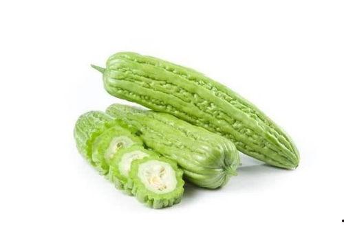 糖人可以吃小瓜不,甜蜜与清爽的完美结合