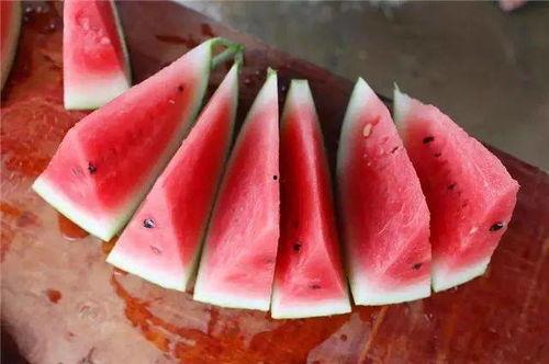 湖南长沙大学吃瓜,一场别开生面的“吃瓜”盛宴