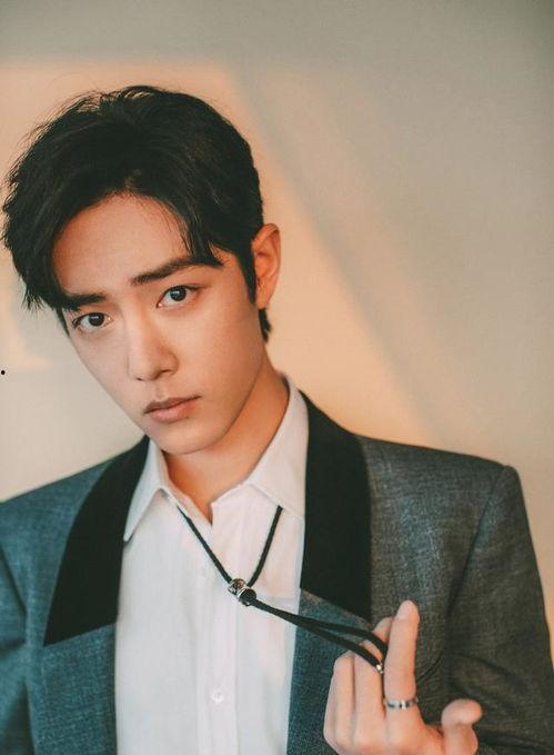 吃瓜罗伯特肖战,肖战事件背后的真相与反思