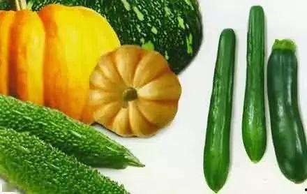 马帮吃瓜,揭秘古代商队中的吃瓜趣事