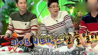 综艺吃瓜音乐,盘点热门节目中的音乐亮点