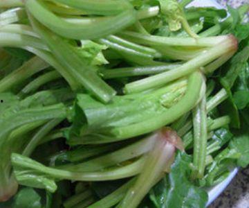 瓠瓜和菠菜可以一起吃吗,健康搭配，美味共享