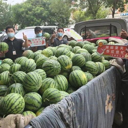 吃瓜快递,带你走进新鲜瓜果的配送世界