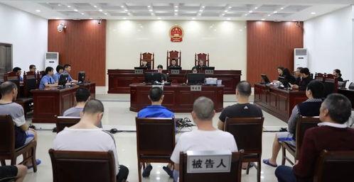 仁化法院吃瓜,一场意外的舆论风暴