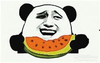 吃瓜群众路人局,揭秘娱乐圈幕后故事