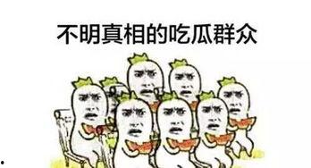 吃瓜群众关注什么,揭秘吃瓜群众最关注的娱乐圈热点事件