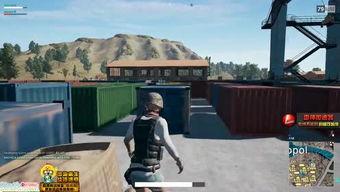 沙尔图拉吃瓜,瓜田里的欢乐时光