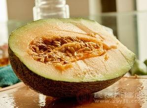 长体藓可以吃哈密瓜吗