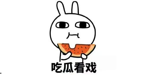 情感驿站理性吃瓜,情感驿站里的冷静观察